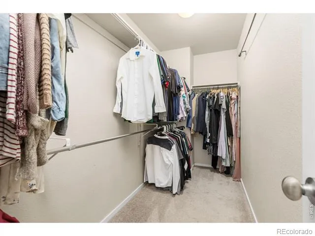 3118 Carney Street Loveland, CO 80538