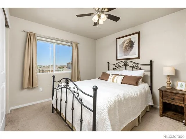 3118 Carney Street Loveland, CO 80538