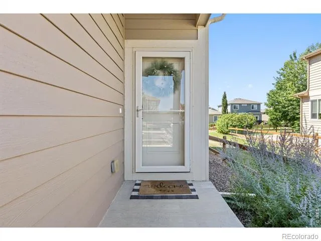 3118 Carney Street Loveland, CO 80538