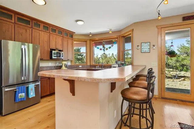 33804 Vista Verde Buena Vista, CO 81211