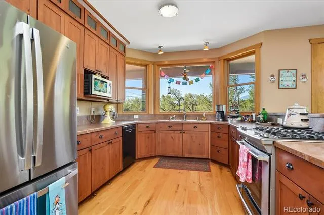 33804 Vista Verde Buena Vista, CO 81211