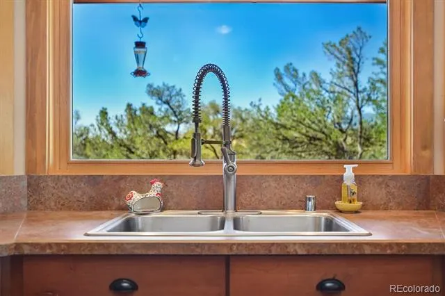 33804 Vista Verde Buena Vista, CO 81211