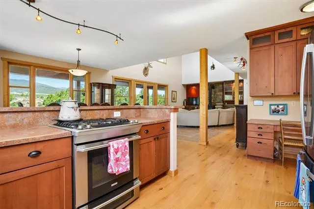 33804 Vista Verde Buena Vista, CO 81211