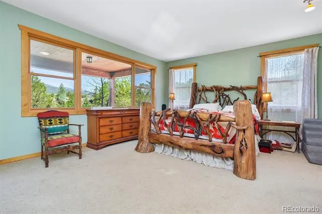 33804 Vista Verde Buena Vista, CO 81211