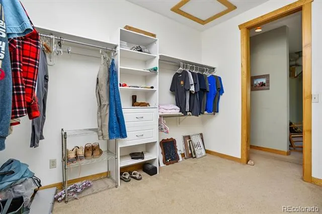 33804 Vista Verde Buena Vista, CO 81211