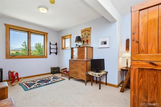 33804 Vista Verde Buena Vista, CO 81211