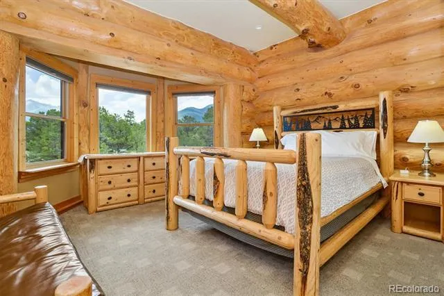 16988 County Road 363 Buena Vista, CO 81211