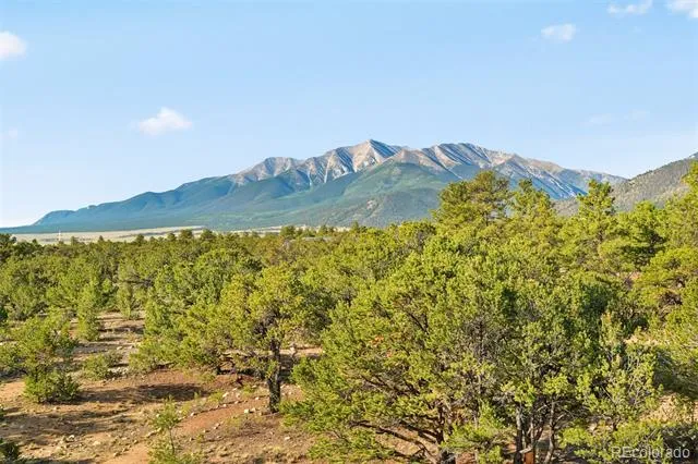 16988 County Road 363 Buena Vista, CO 81211