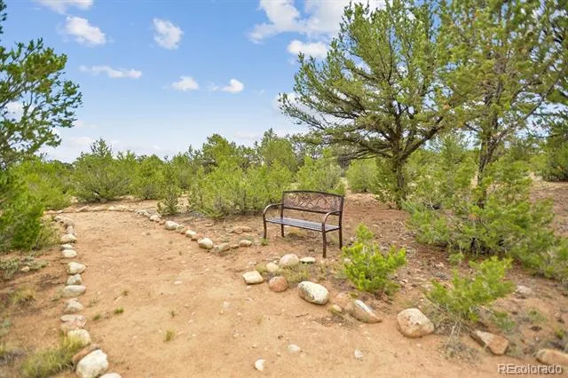 16988 County Road 363 Buena Vista, CO 81211