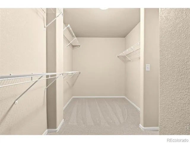 2134 Day Spring Drive Windsor, CO 80550