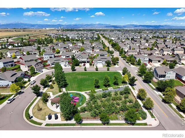 2134 Day Spring Drive Windsor, CO 80550