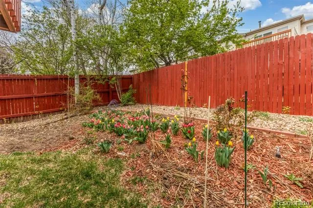 1958 S Carr Street Lakewood, CO 80227