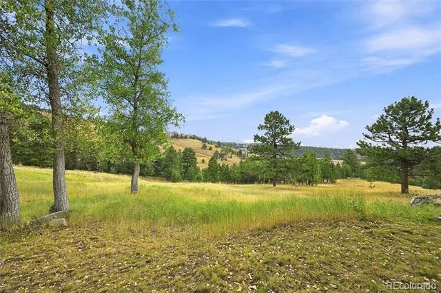 786 Chimney Creek Drive #B Golden, CO 80401