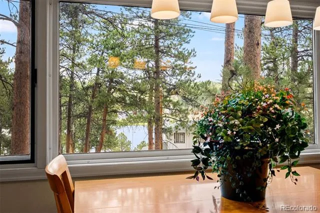 4743 S Cedar Road #A&B Evergreen, CO 80439