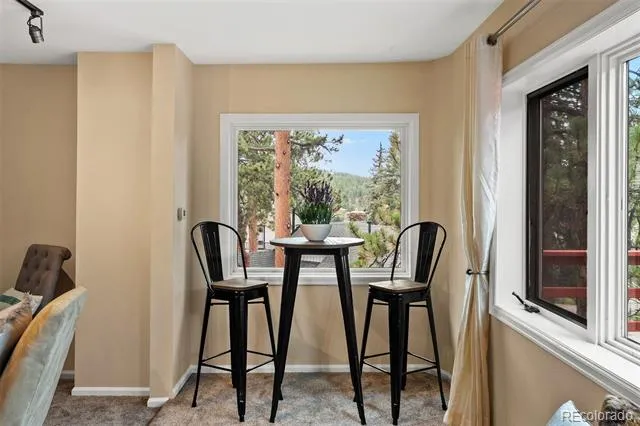 4743 S Cedar Road #A&B Evergreen, CO 80439