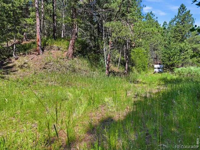 Spiritwood Ln Bellvue, CO 80512