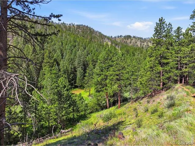 Spiritwood Ln Bellvue, CO 80512