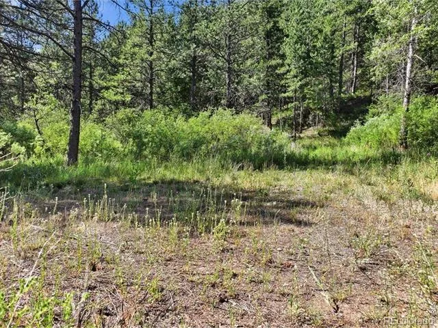 Spiritwood Ln Bellvue, CO 80512