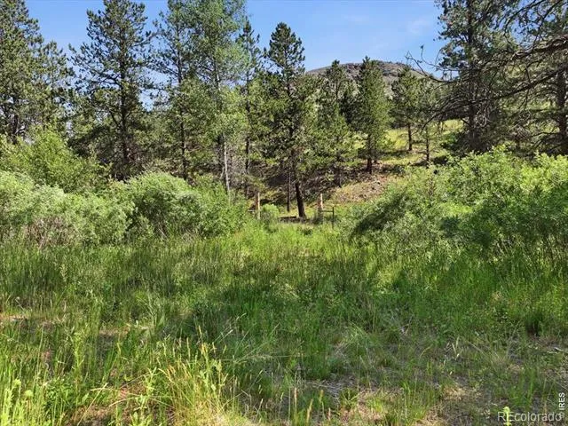 Spiritwood Ln Bellvue, CO 80512