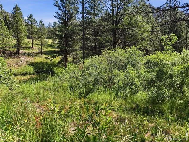 Spiritwood Ln Bellvue, CO 80512