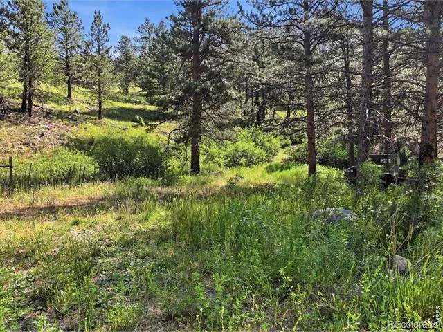 Spiritwood Ln Bellvue, CO 80512
