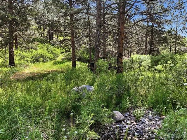 Spiritwood Ln Bellvue, CO 80512