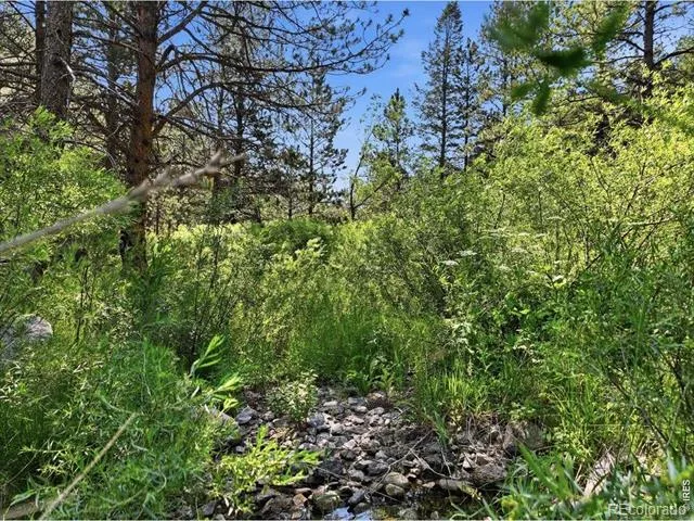 Spiritwood Ln Bellvue, CO 80512