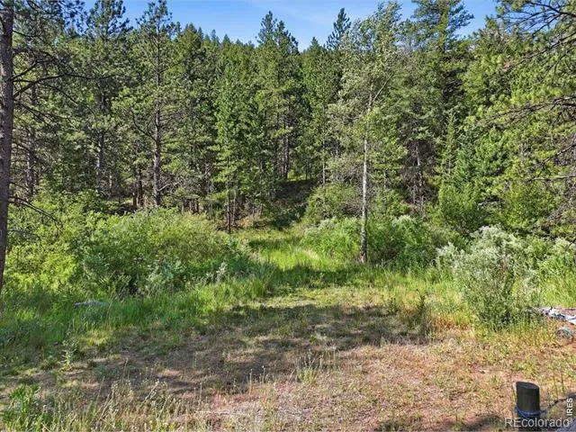Spiritwood Ln Bellvue, CO 80512