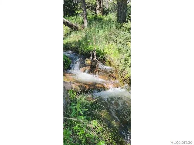 Spiritwood Ln Bellvue, CO 80512