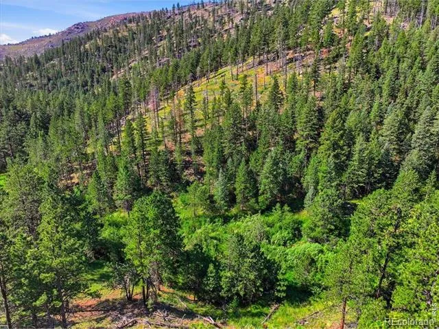 Spiritwood Ln Bellvue, CO 80512