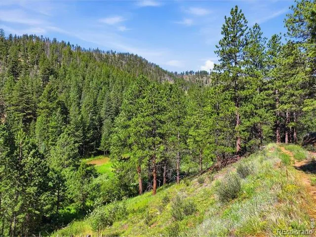 Spiritwood Ln Bellvue, CO 80512