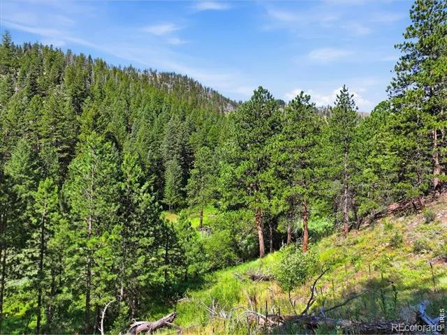 Spiritwood Ln Bellvue, CO 80512