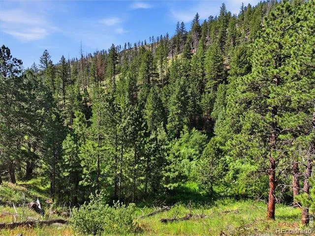 Spiritwood Ln Bellvue, CO 80512