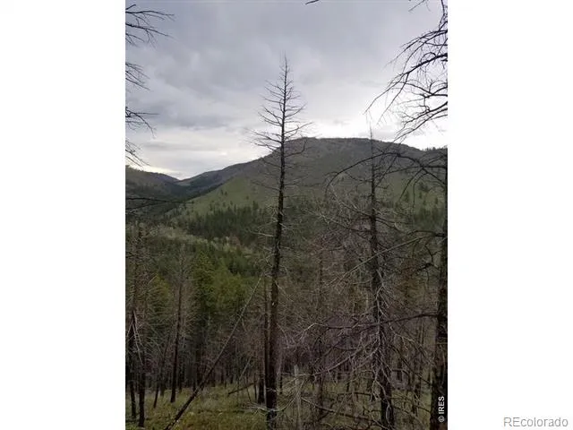 Spiritwood Ln Bellvue, CO 80512