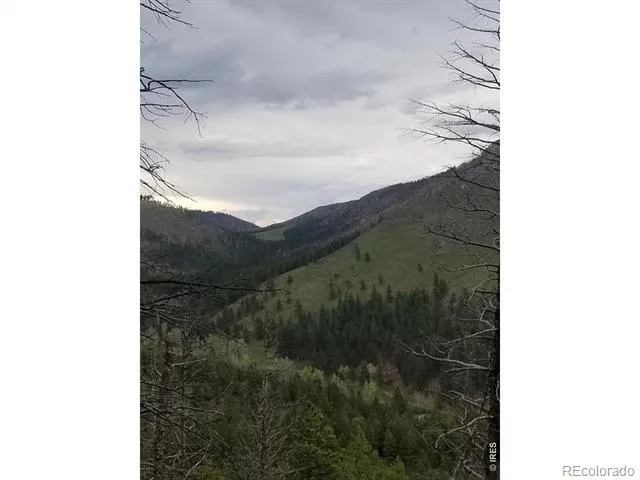 Spiritwood Ln Bellvue, CO 80512
