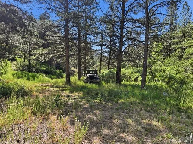 Spiritwood Ln Bellvue, CO 80512