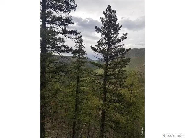 Spiritwood Ln Bellvue, CO 80512
