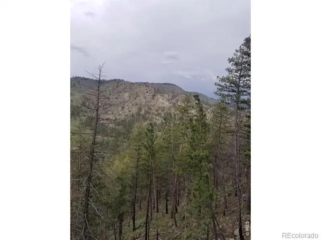 Spiritwood Ln Bellvue, CO 80512