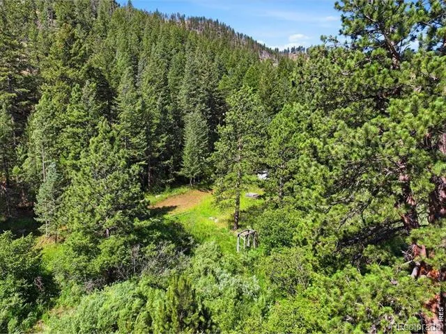 Spiritwood Ln Bellvue, CO 80512