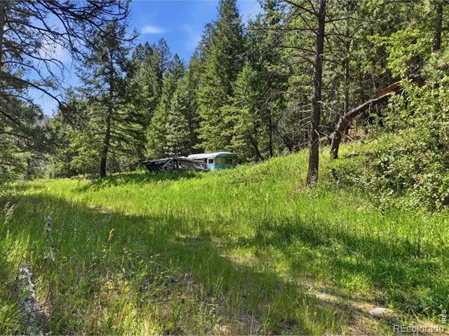 Spiritwood Ln Bellvue, CO 80512