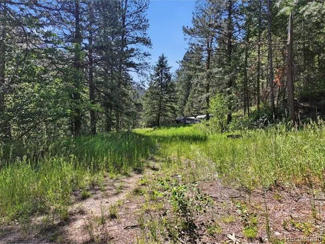 Spiritwood Ln Bellvue, CO 80512
