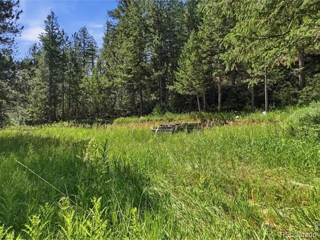 Spiritwood Ln Bellvue, CO 80512