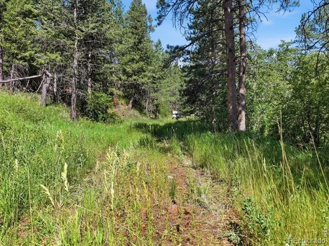 Spiritwood Ln Bellvue, CO 80512