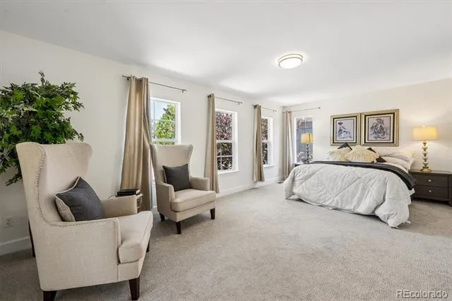 8775 E 28th Avenue Denver, CO 80238