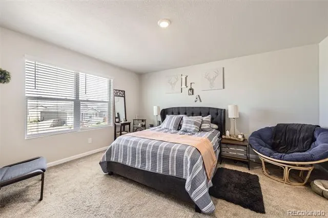 1063 Gianna Avenue Fort Lupton, CO 80621