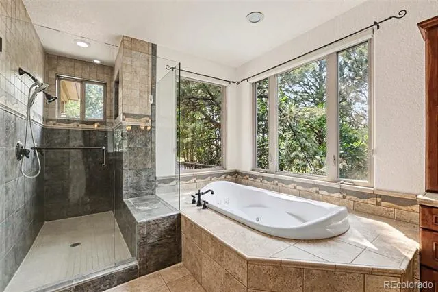 9132 Scenic Pine Drive Parker, CO 80134