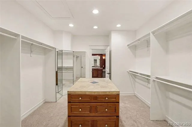 9132 Scenic Pine Drive Parker, CO 80134