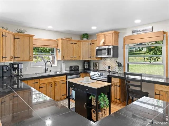 1047 Tranquil Lane Estes Park, CO 80517