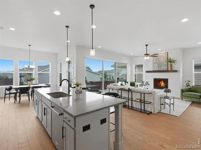 1746 Abundance Drive Windsor, CO 80550