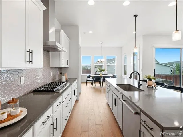 1746 Abundance Drive Windsor, CO 80550